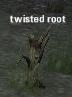 Picture of Twisted Root